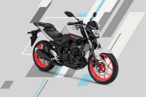 Yamaha MT25